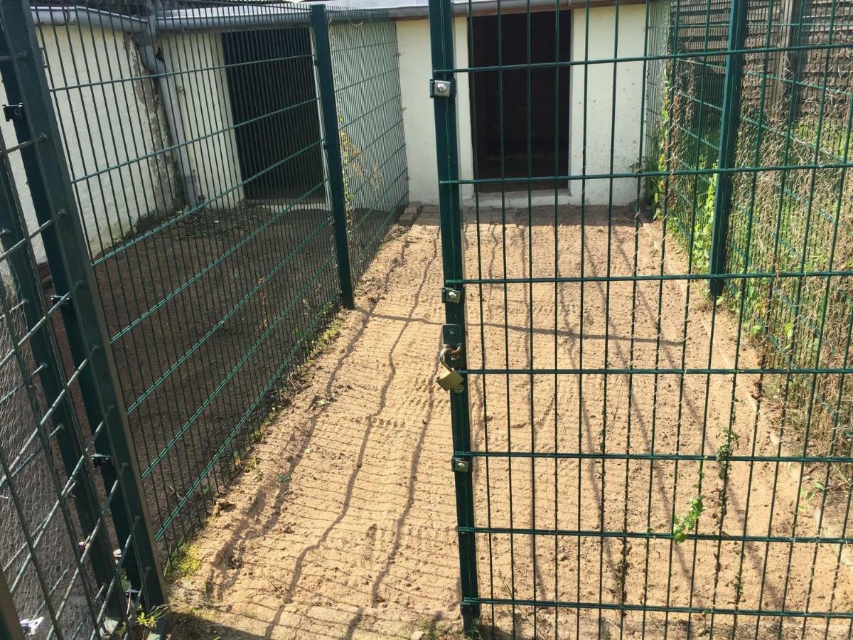 Ferienwohnung Neustrelitz Eksteriør bilde
